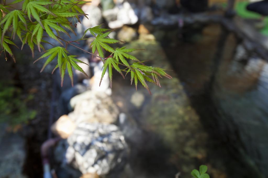 Puruke-No-Yakata Hotel Kawabata Shibetsu  Экстерьер фото